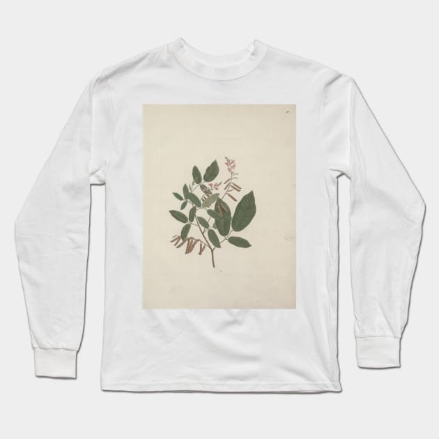 Desmodium by Luigi Balugani Long Sleeve T-Shirt by Classic Art Stall